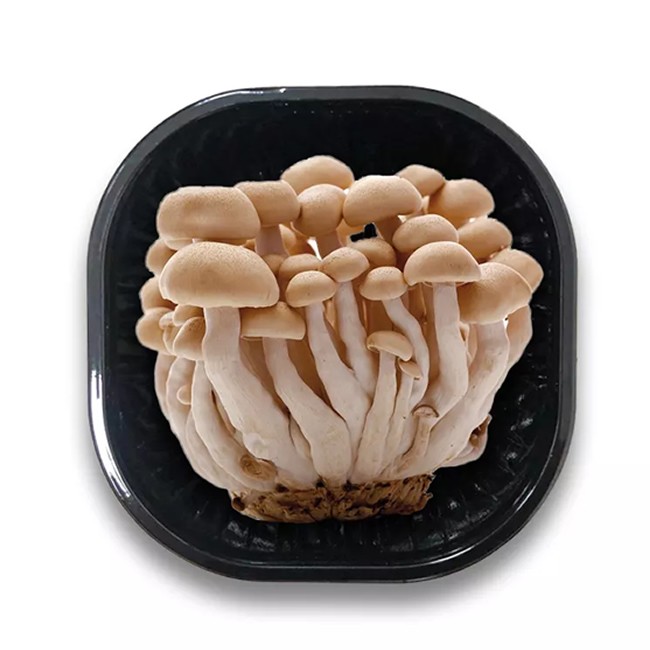 Good quality plastic fooLow price fresh mushroom pd packing tray wholesale price