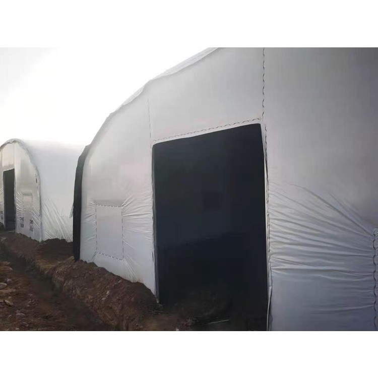 Customized white button mushroom cultivation greenhouse